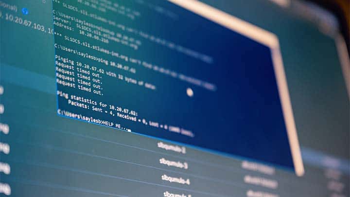 What Will You Learn From a Management Information Systems Degree?