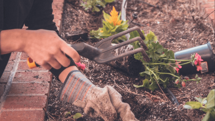 10 Sustainable and Creative Businesses You Could Start Without a Lot of Capital