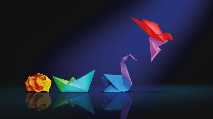 8 Innovation and Empowerment Program Ideas to Keep your Business Agile and Sustainable